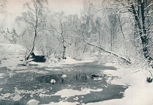 Winteransicht des Freilichtmuseums in Skansen, ca. 1900 von Unbekannt