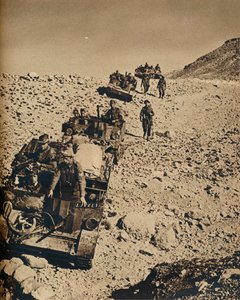Mit Andersons Männern in Tunesien, 1943