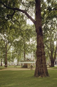 Berkeley Square, London W1