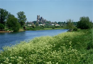 Ely Kathedrale und der Fluss Ouse von Unbekannt Unbekannt
