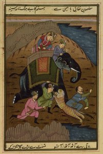Kaiser Akbar auf der Tigerjagd, aus dem Akbarnama, Mughal von Unbekannt Unbekannt