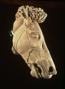 Kopf eines Pferdes, 4.-5. Jahrhundert v. Chr.
