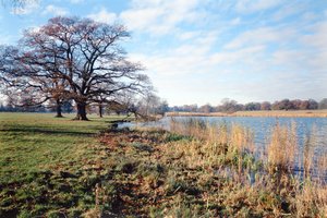 Blick auf den See, Corsham Court, Wiltshire