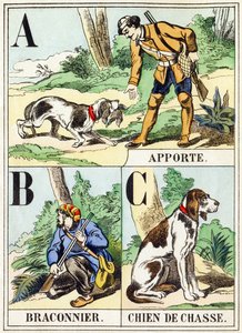 A B C: Apportieren, Wilderer, Jagdhund - Das Jagd-Alphabet, ca. 1890 von Unbekannt