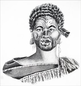 Ein Maori-Häuptling