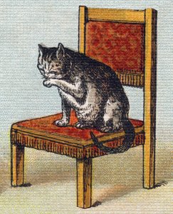 Eine Katze auf einem Stuhl. Gravur in "Alphabet de ma petite fille". Bernardin-Bechet und Fils, Buchhändler-Verleger, Paris, um 1895. von Unbekannt