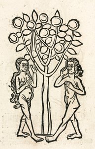 Adam und Eva unter dem Baum der Erkenntnis
