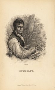 Alexander von Humboldt, deutscher Entdecker, Naturforscher und Botaniker von Unbekannt