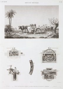 Tierkraft Tierbetriebene Bewässerung, Ägypten, ca. 1798 von Unbekannt