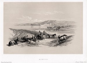 Ashdod von David von Unbekannter Künstler