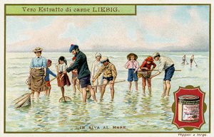 Am Strand: Fischen mit Netzen
