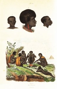 Australische Aborigines und Köpfe von Eingeborenen von Waigeo, West-Papua von Unbekannter Künstler