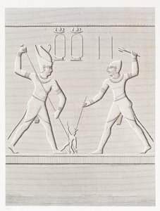 Buch: Beschreibung von Ägypten