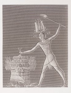 Buch: Beschreibung von Ägypten