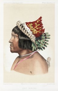 Bororo-Häuptling, Südamerika, ca. 1843-1847