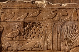Botanischer Garten von Thutmosis III. mit Reliefdarstellungen von Pflanzen und Tieren, Karnak-Tempel, Luxor, Theben, Ägypten