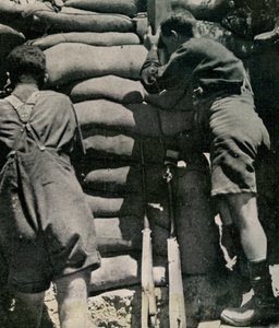 Britische Truppen kämpfen in Khaki-Drill-Shorts, Gallipoli-Halbinsel von Unbekannt