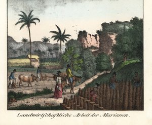 Chamarro-Bauern pflügen ein Feld und ziehen Pflanzreihen auf dem Marianen-Archipel (USA). Illustration aus Voyage Around the World (1824) von Louis de Freycinet (1779-1842). Lithographie aus dem Buch: „Galerie complète en tableaux fidèles des peu von Unbekannter Künstler
