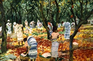 Kakaoernte in Sao Tome, ca. 1910-20 (Farblithografie) von Unbekannter Künstler