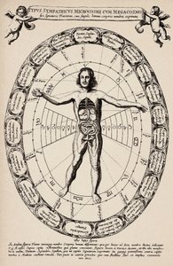 Korrespondenz zwischen Mikrokosmos und Makrokosmos. Platte aus „Mundus subterraneus“ von Athanase Kircher (1601-1680)