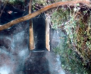 Hundsgrotte bei Neapel - Hunde ersticken an Kohlendioxid und der Mensch überlebt von Unbekannter Künstler