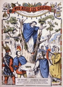Druiden pflücken Mistel, um 1900 (Illustration)