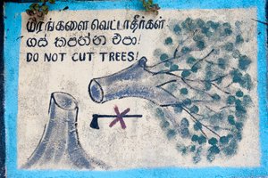 Umweltschutz; bemaltes Schild; „Bäume nicht fällen“; Darstellung eines gefällten Baumes und einer durchgestrichenen Axt; Nuwara Eliya; Sri Lanka; Asien von Unbekannt