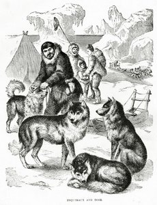Eskimos und Hunde (1902) von Unbekannt