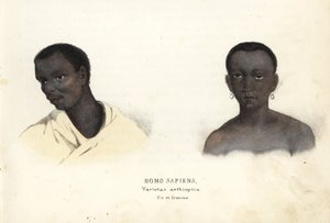 Äthiopischer Mann und Frau. Handkolorierte Stahlgravur aus Georg Friedrich Treitschkes Galerie der Naturgeschichte, Naturhistorischer Bildersaal des Tierreiches, Leipzig-1842 von Unbekannter Künstler