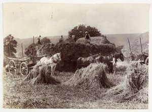 Landwirtschaftsszenen, Ernte & Lagerung, Vor 1900 Ernte, ca. 1890 von Unbekannt