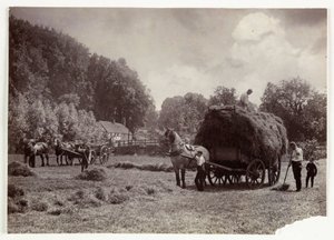 Landwirtschaftsszenen, Ernte & Lagerung, Vor 1900 Heuernte, ca. 1890