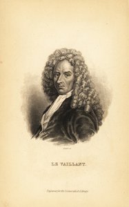 Francois le Vaillant, französischer Autor, Entdecker, Naturforscher und Ornithologe