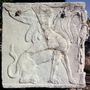Urne mit geschnitztem Relief eines Greifen (Stein) von Unbekannt