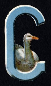 G wie Gans. Käfer-Decoupis zum Thema Tiere. Gravur. Serie von 26 Waffel-Chromolithographien englischen Ursprungs. Herausgeber und Illustrator unbekannt. Ende des 19. Jahrhunderts.