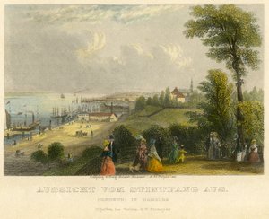 Hamburg, Elbhoehe, Blick vom Stintfang auf die Elbe, altkolorierter Stahlstich von A. H. Payne, Leipzig, veröffentlicht von G. W. Niemeyer, um 1850 von Unbekannter Künstler
