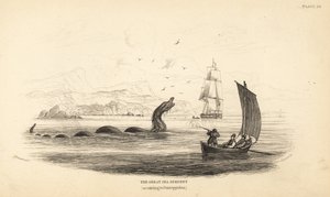 Große Seeschlange, die von der Besatzung der Lawrence von Ferry im Jahr 1746 erschossen wurde. Beschrieben in Bischof Erik Pontoppidans Naturgeschichte Norwegens von Unbekannter Künstler
