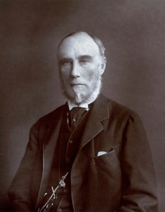 Halbporträt des Vizekönigs von Indien Thomas Baring, Graf von Northbrook von Unbekannter Künstler