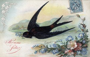 Geburtstagskarte: Schwalbe bringt eine Blume - Postkarte von 1906
