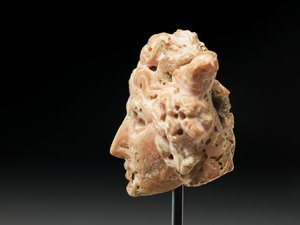 Kopf der Medusa, aus Baktrien oder Gandhara, 2.-1. Jahrhundert v. Chr. von Unbekannt