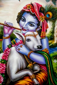 Hindu-Gott Krishna mit einem Kalb. Watford, Großbritannien. (Foto)
