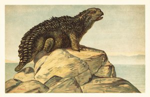 Hylaeosaurus armatus, ausgestorbener pflanzenfressender Ankylosaurier (Lithografie) von Unbekannter Künstler