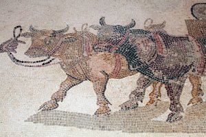 (Detail) Ikaros