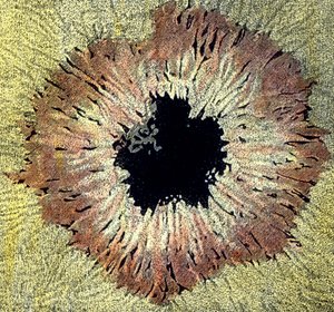 Illustration eines Sonnenflecks