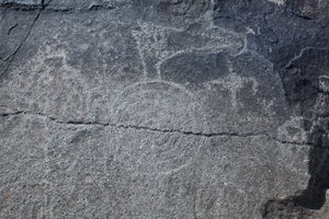 Indische Petroglyphen - Tier- und symbolische Darstellungen - Petroglyph National Monument - Albuquerque, New Mexico, USA