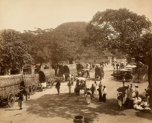 Indische Straße zwischen den Bäumen mit Karren und Menschen