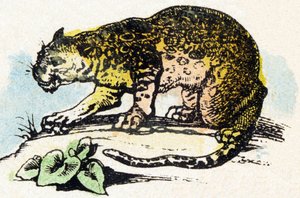 J - Jaguar - Alphabet - Kinderunterhaltung - Bild Epinal, populäre Serie ca. 1890 (Illustration) von Unbekannt