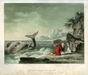 Jona und der Wal - Bibel