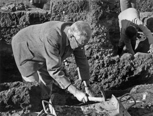 König Gustav von Schweden von Unbekannt