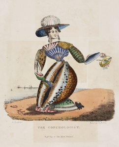 Der Conchyliologe, um 1831