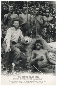 Der Löwenkopf-Pavian, ca. 1910 (Lithografie) von Unbekannt